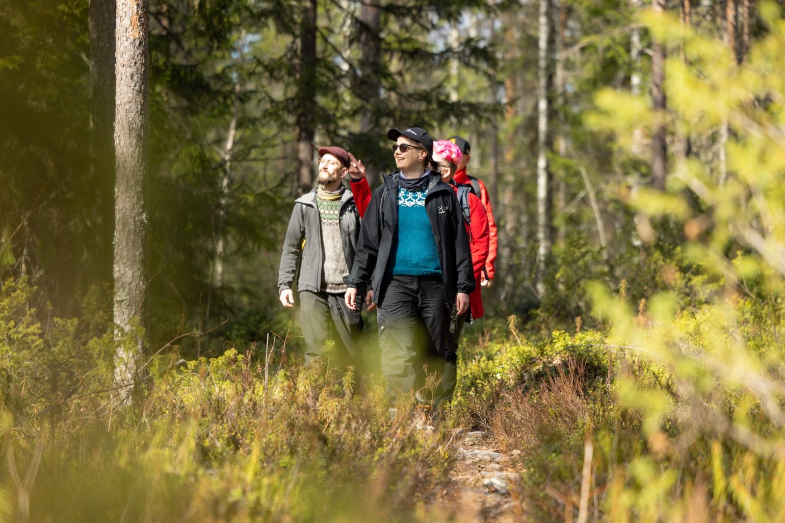 Koe Kainuu Adventuresin retkiryhmä aurinkoisella korpipolulla Kuhmossa — Kerttu Komulainen ja retkeläiset.